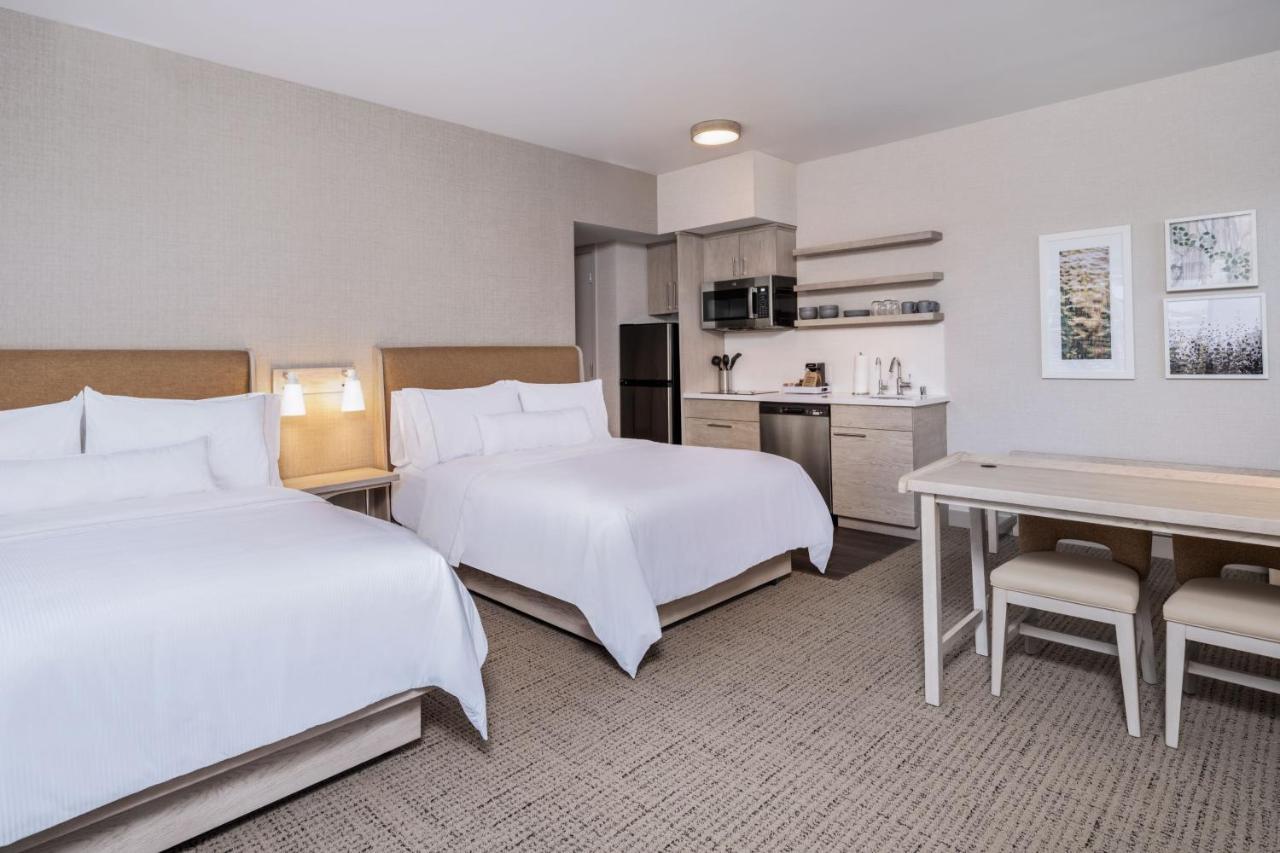 Element San Jose Airport Hotel Eksteriør billede